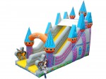 Princess Castle Slide