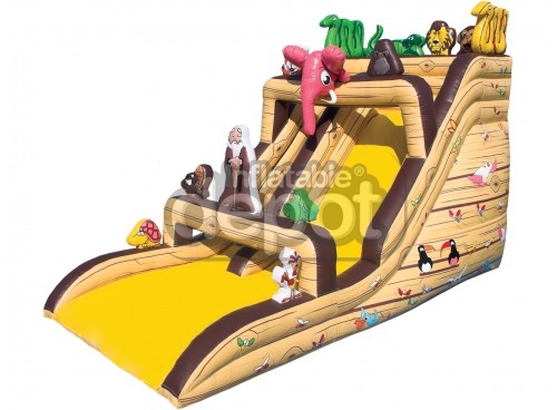 Noah's Ark Slide