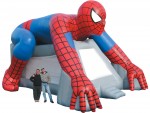 Inflatable Spider Guy