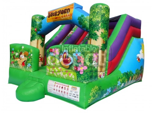 Backyard Slide